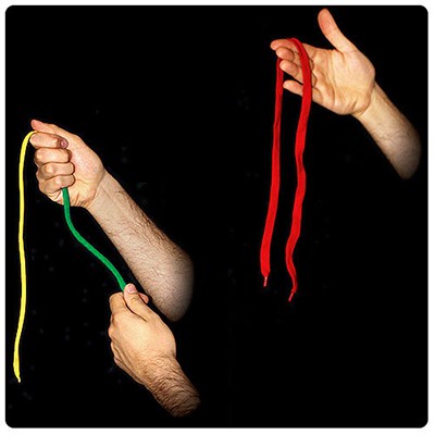Chameleon Shoelace